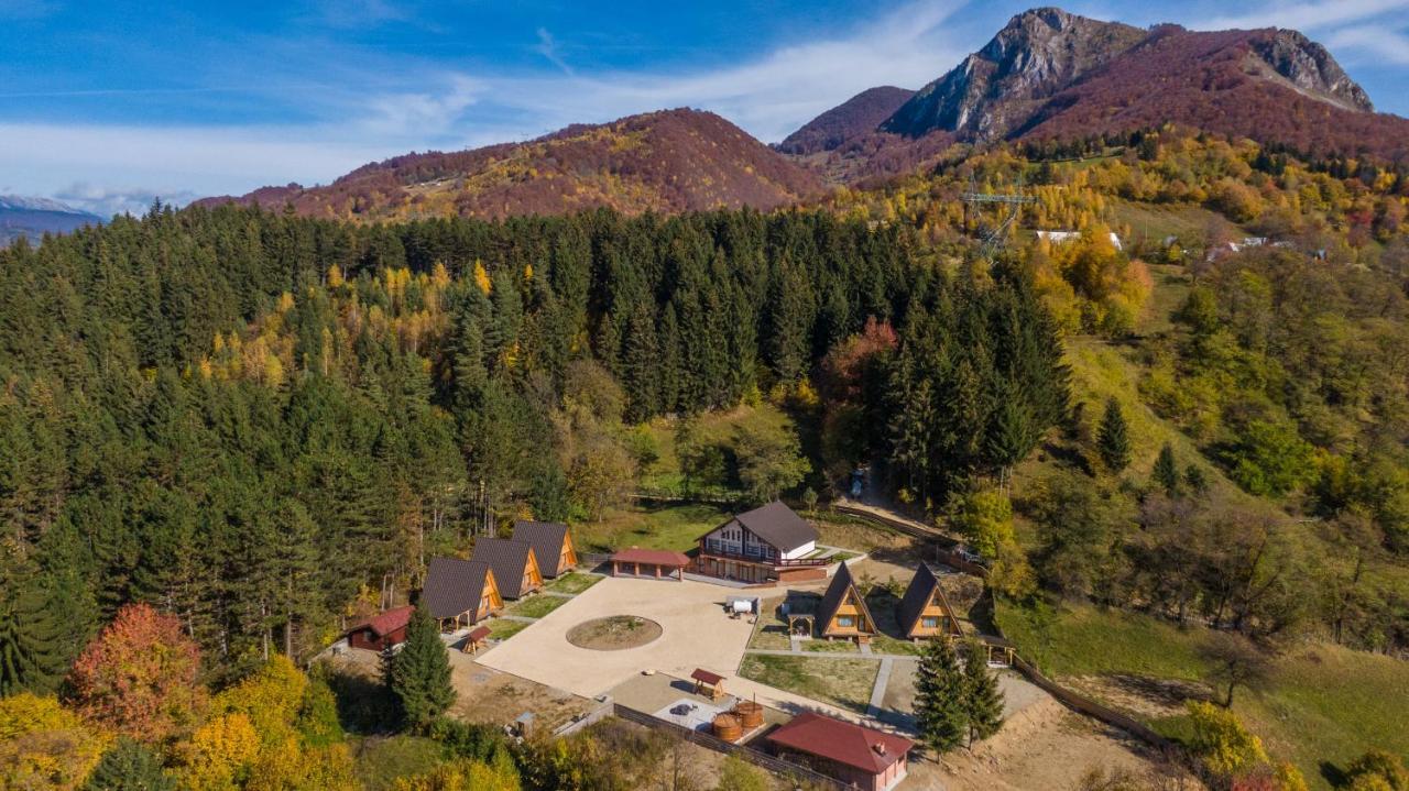 Catunul Din Podei A-Frame Dragoslavele 外观 照片